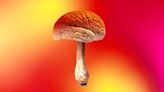 Psilocybin facilitators sue Oregon Health Authority over access