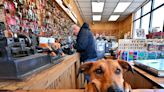 Keeping an eye on the shop: Locksmith dog greets customers, guards shop