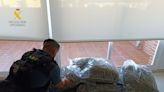 Detenido un joven con 27 kilos de marihuana en su coche en Orihuela-Costa