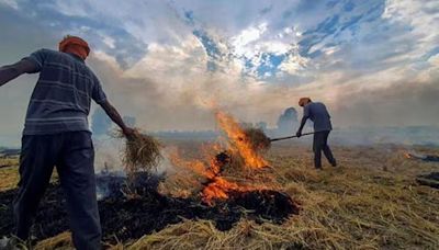 After SC rap, Delhi’s pollution panel deploys flying squads to check stubble burning