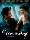 Mood Indigo (film)