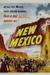 New Mexico (film)
