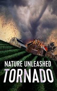 Tornado: Nature Unleashed