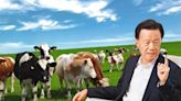 變賣資產｜世茂主席許榮茂 傳以12億放售西澳養牛場 知情人士：可能是為了籌錢