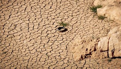 España puede pasar de clima mediterráneo a estepario en 2050 por los efectos del cambio climático