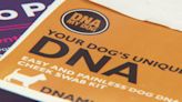 I-Team: Pet DNA company sends back dog breed results from human sample a second time