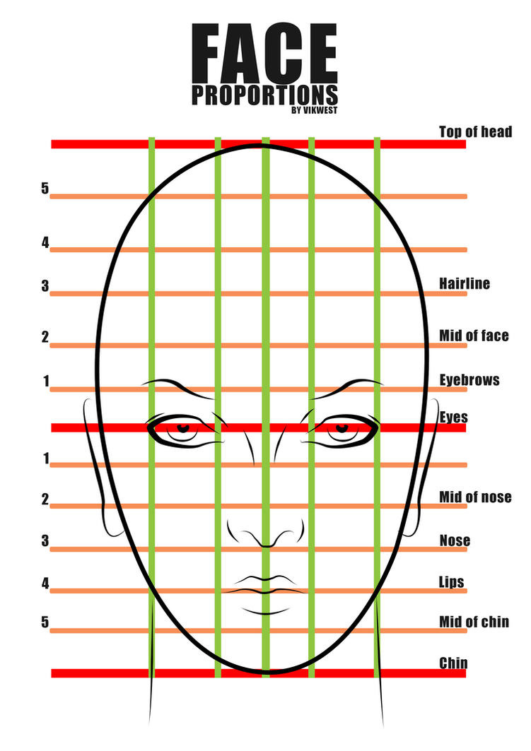 Face Proportions by vik-west