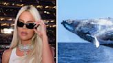 Here's How The Internet Reacted To Khloé Kardashian Revealing That She's Terrified Of Whales