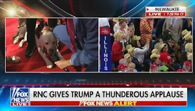 Fox News Cuts Away From Kimberly Guilfoyle’s RNC Speech to Interview a Dog