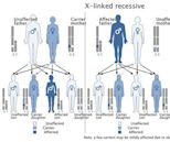 X-linked recessive inheritance