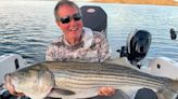 Fishing report, Oct. 25-31: Sturgeon are biting, trout still active at McSwain and Courtright