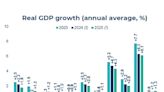 Country and Sector Risk Barometer – June 2024 Turbulence ahead?