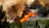 Canada’s wildfires blacken thousands of square miles and just keep growing