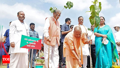 UP achieves green feat with 36.51 crore saplings | Lucknow News - Times of India