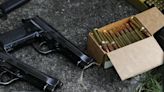 Reforma prevê corte superior a 50% em tributos sobre armas de fogo