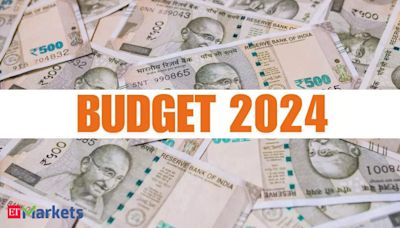 Navigating Union Budget impact: Opportunities amidst overheated market