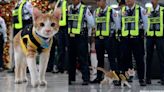 Stray cat lands security guard job in a Philippines mall; here’s how