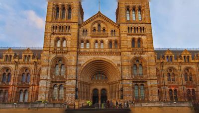 London: A family adventure at the Natural History Museum