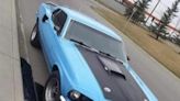The Search For A Stolen 1969 Mustang Mach 1 In Canada
