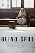 Blind Spot (film 1981)