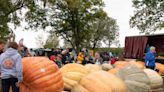 Nekoosa Giant Pumpkin Fest turns 25 this year. What you should know before you go.