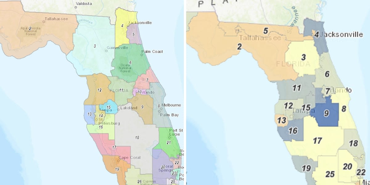 ‘A betrayal of democracy’: Florida Supreme Court to decide redistricting case