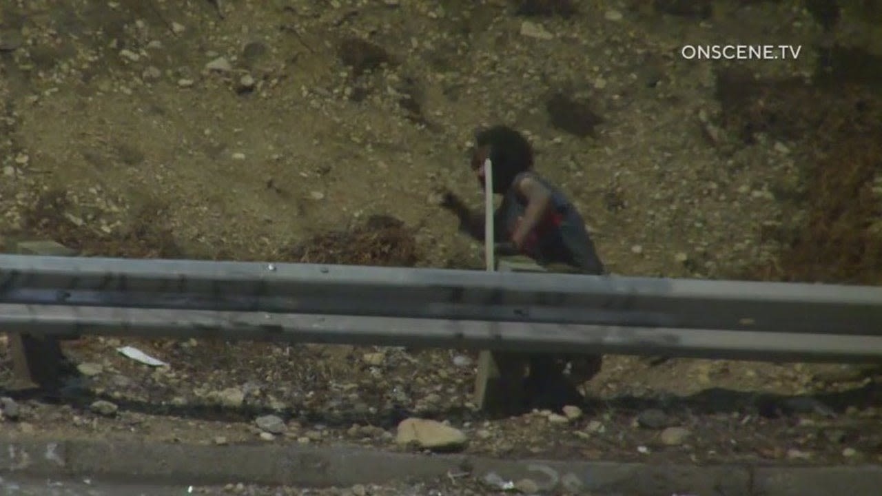 Homeless man seen on video throwing rocks onto 110 Freeway