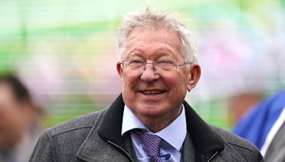 Sir Alex sets new record with £660,000 purchase Regent's Stroll