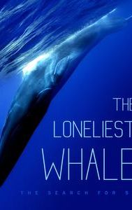 The Loneliest Whale: The Search for 52
