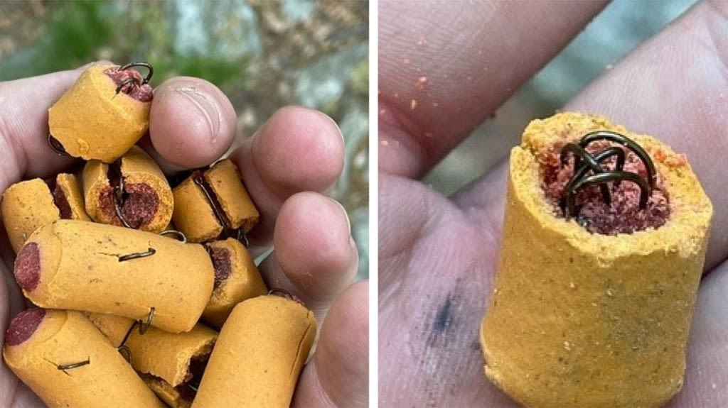 ‘Disturbing’: PA Game Commission investigating dog treats embedded with fish hooks along Appalachian Trail in Lehigh County