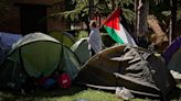 Los universitarios andaluces comienzan sus acampadas en favor de los palestinos a distinto ritmo
