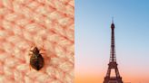 What bedbug bites look like and how to avoid them while traveling, as Paris hit by outbreak