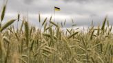 Losses of Ukrainian farmers in Donetsk Oblast exceed US$126 million since start of full-scale war