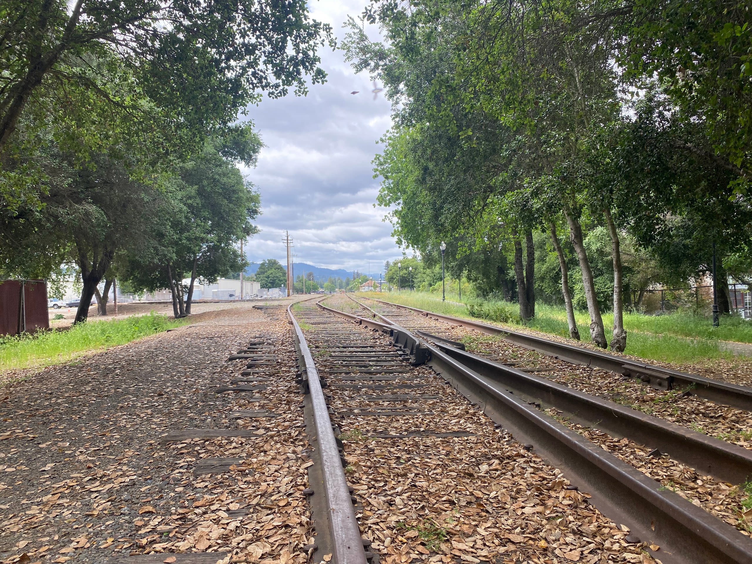 From rail to trail: California plans for Great Redwood Trail along defunct railroad route