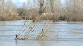 Seven people missing in France after floods wash vehicles away