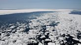 122 anglers rescued from large ice floe in Minnesota lake