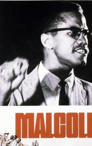 Malcolm X (1972 film)