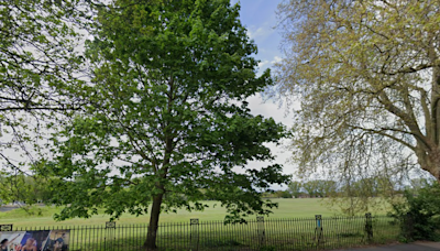 Container of organs found in London park sparks major police investigation