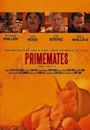 PrimeMates