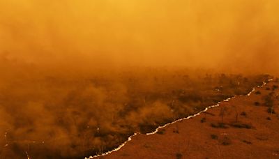 Mudança climática agravou em 40% condições para incêndios no pantanal, aponta estudo