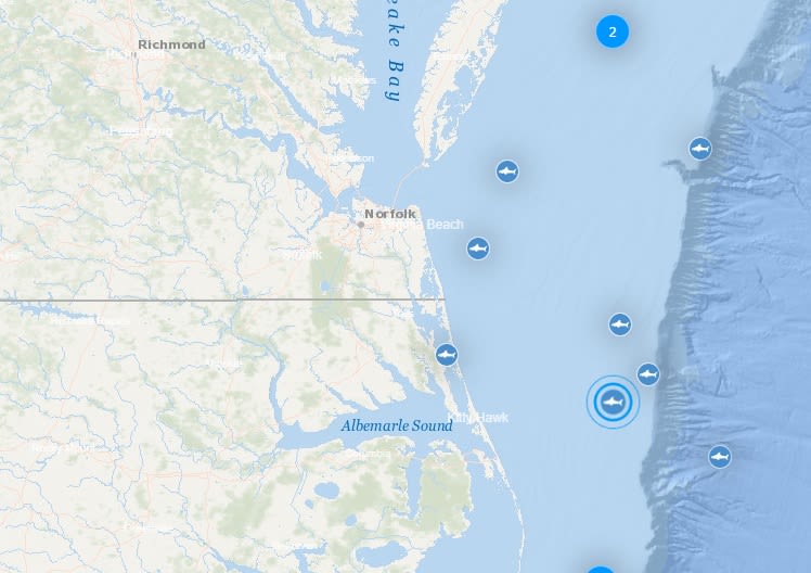 Great white shark pings off coast of Outer Banks