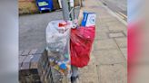 Litter-picking group hails 'lamp-post bins' trial