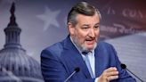 Cruz is just the latest Republican to appease Trump by raising 2024 voter fraud fears | CNN Politics