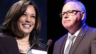 Kamala Harris-Tim Walz Campaign Signals Admission of Joe Biden-Harris Administration Failures, Critics Say - EconoTimes