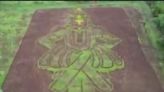 Watch: Pune Farmer Creates Majestic Portrait Of Lord Vithal Using Paddy Plantations - News18