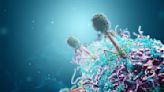 The human virome: why viruses could be as important for good health as gut bacteria