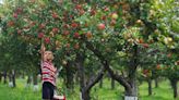 From apple orchards to pumpkin patches, here’s your guide to fall activities around Sioux Falls