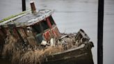 Cleanup crew hauls tonnes of junk out of Alouette River