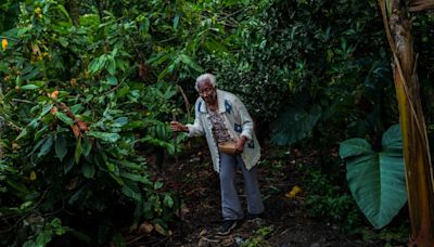 Derechos territoriales colectivos como reparación para los pueblos afrocolombianos