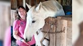 Reduction in veterinary services at South Shore clinic concerns farmers, horse owners